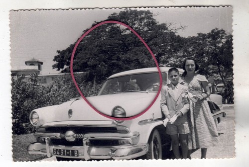 Photo foto auto automobile - foto,